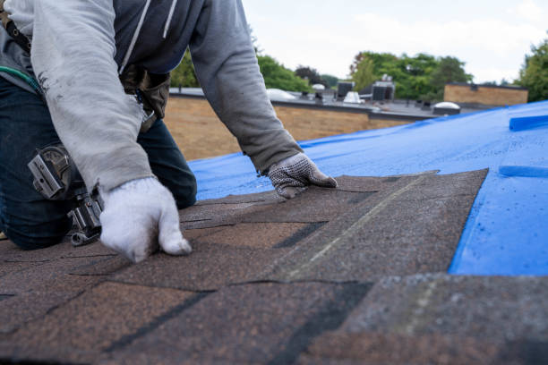 Best Roof Leak Repair  in Panthersville, GA