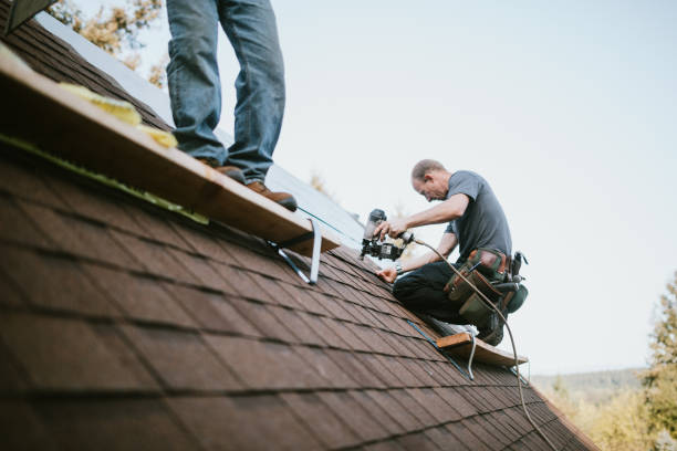 Best Local Roofing Companies  in Panthersville, GA